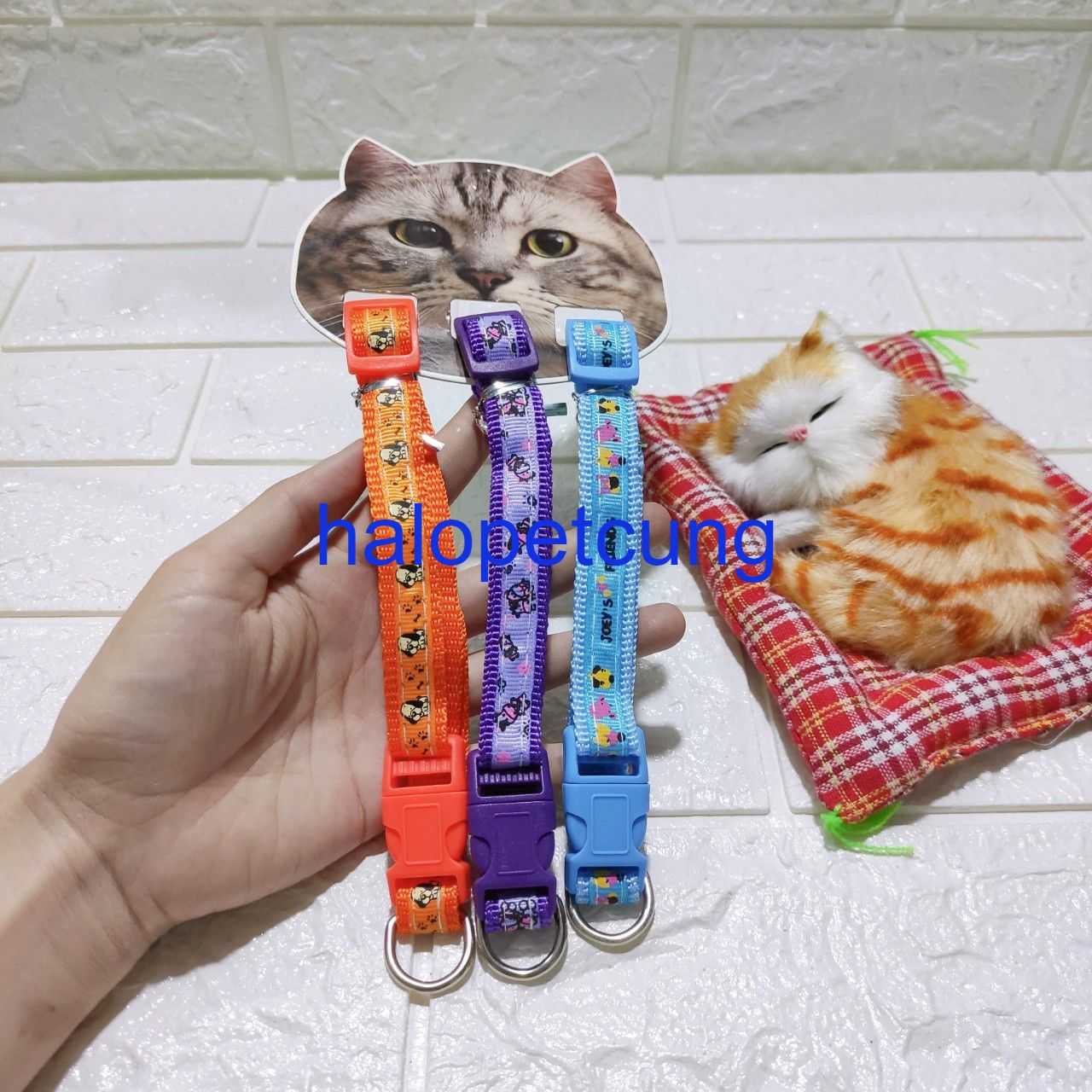 Dog and Cat Collar 1.5cm Version