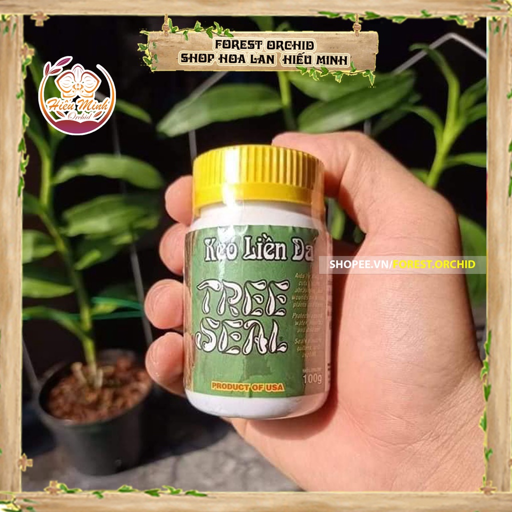 Keo liền sẹo Tree Seal USA Morrisons nhập khẩu