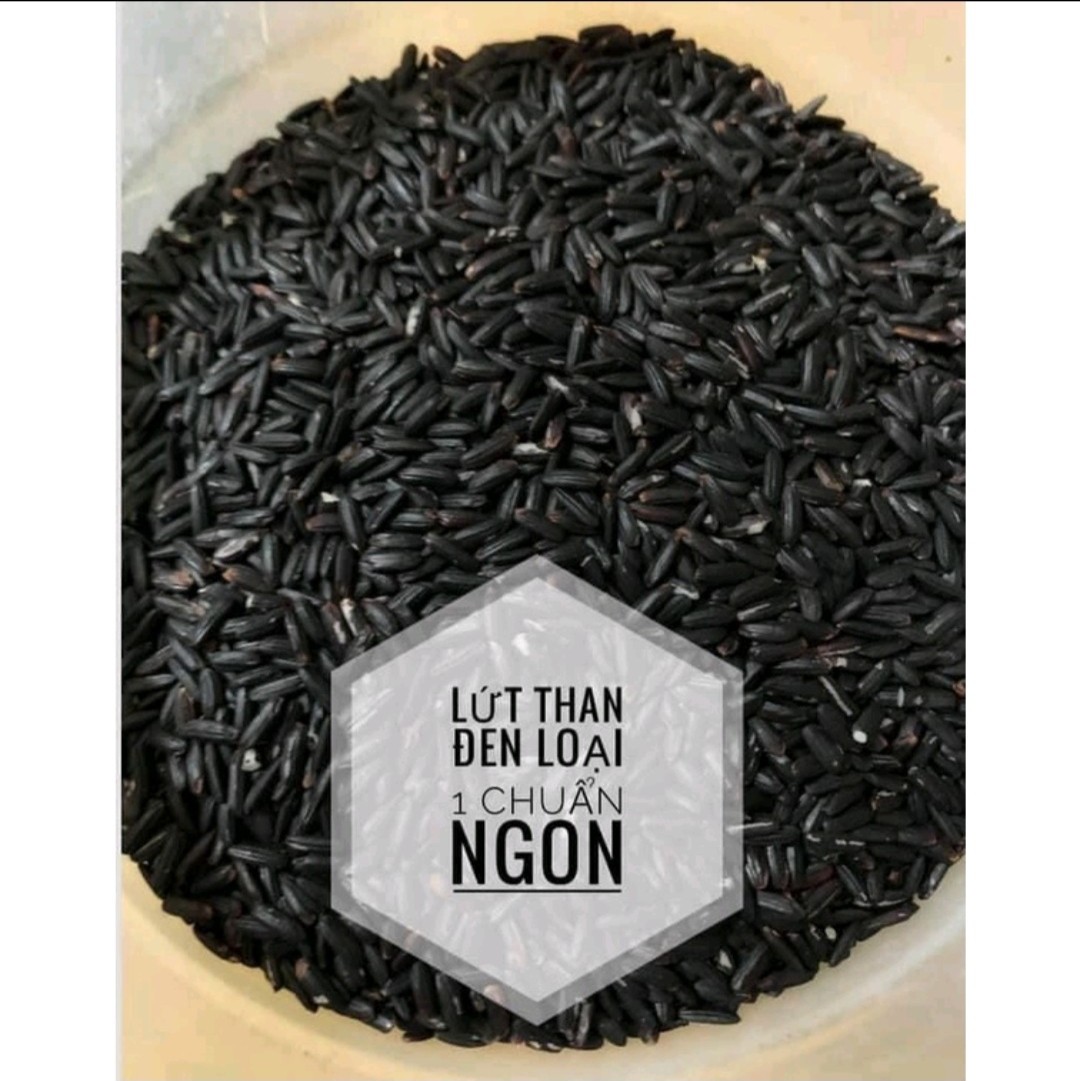 [ 5 KG] Gạo Lứt Đen dẻo Điện Biên ( Loại I)