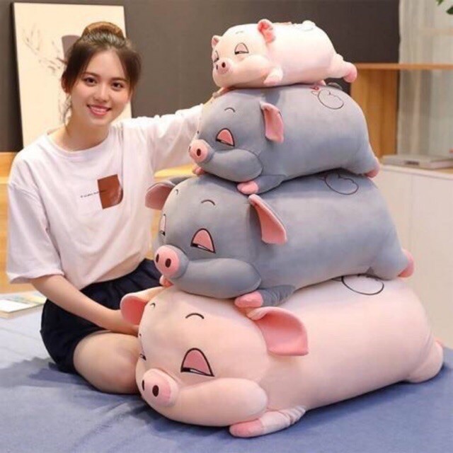 Gấu Bông to Gối Ôm Heo Lợn 75cm - 1m