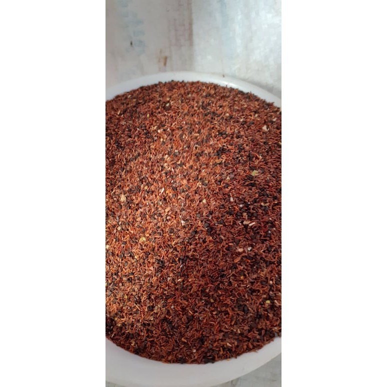 Hạt giống cây bạch đàn đỏ - gói 50gram