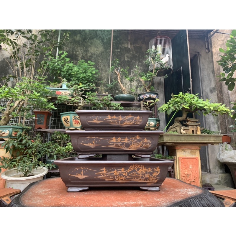 Chậu chữ nhật trồng cây bonsai ( có hỗ trợ vc cho khách => nhắn tin cho shop )