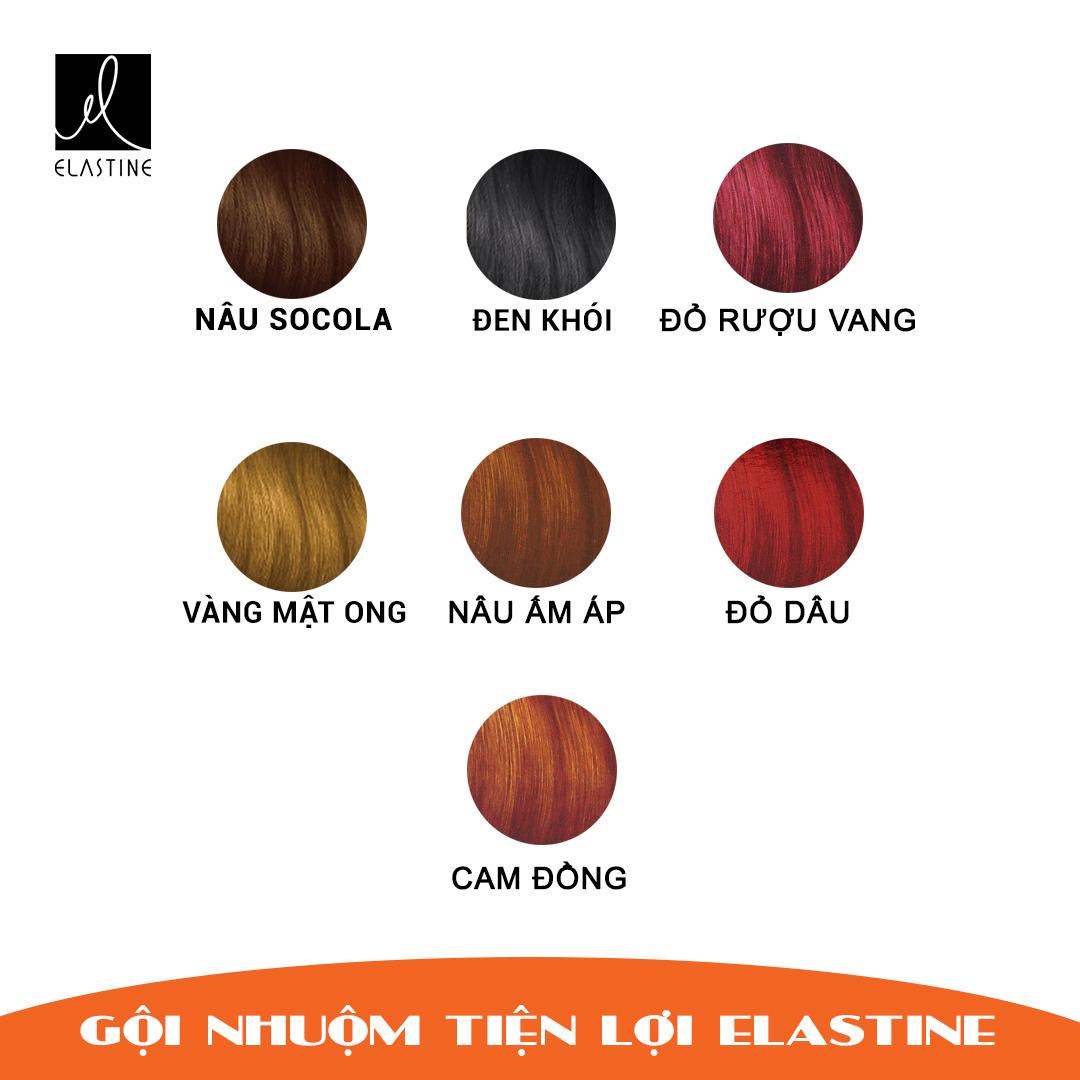 Gội nhuộm tiện lợi Elastine 113g