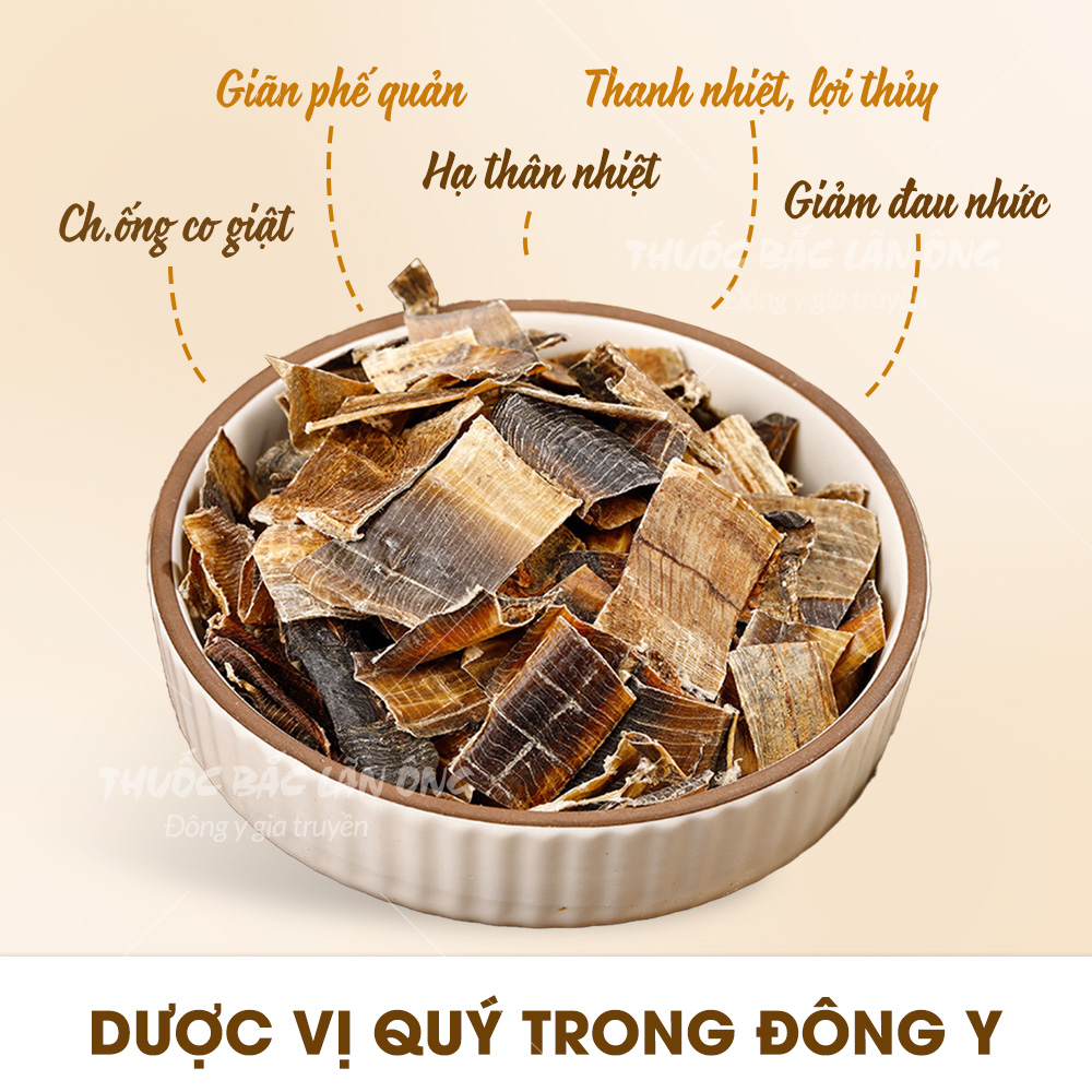 Địa long khô sạch 100g (Hàng to, sạch, đẹp) - Thuốc Bắc Lãn Ông