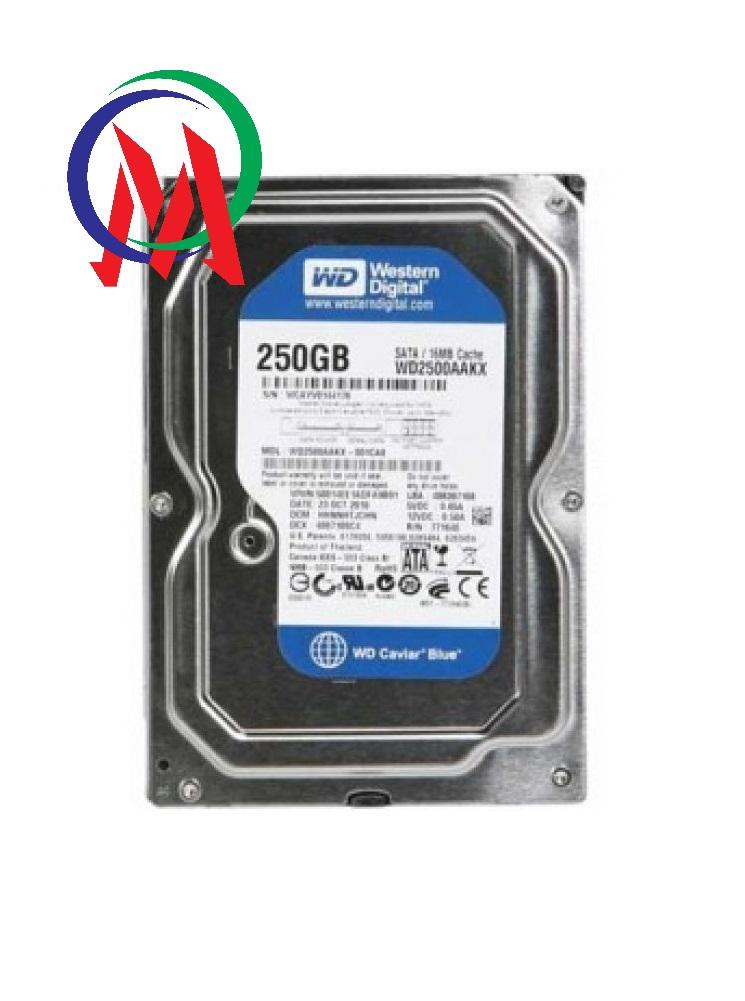 [HCM][Bảo hành 24 tháng] Ổ CỨNG PC 250GB WD Tặng Cáp Sata