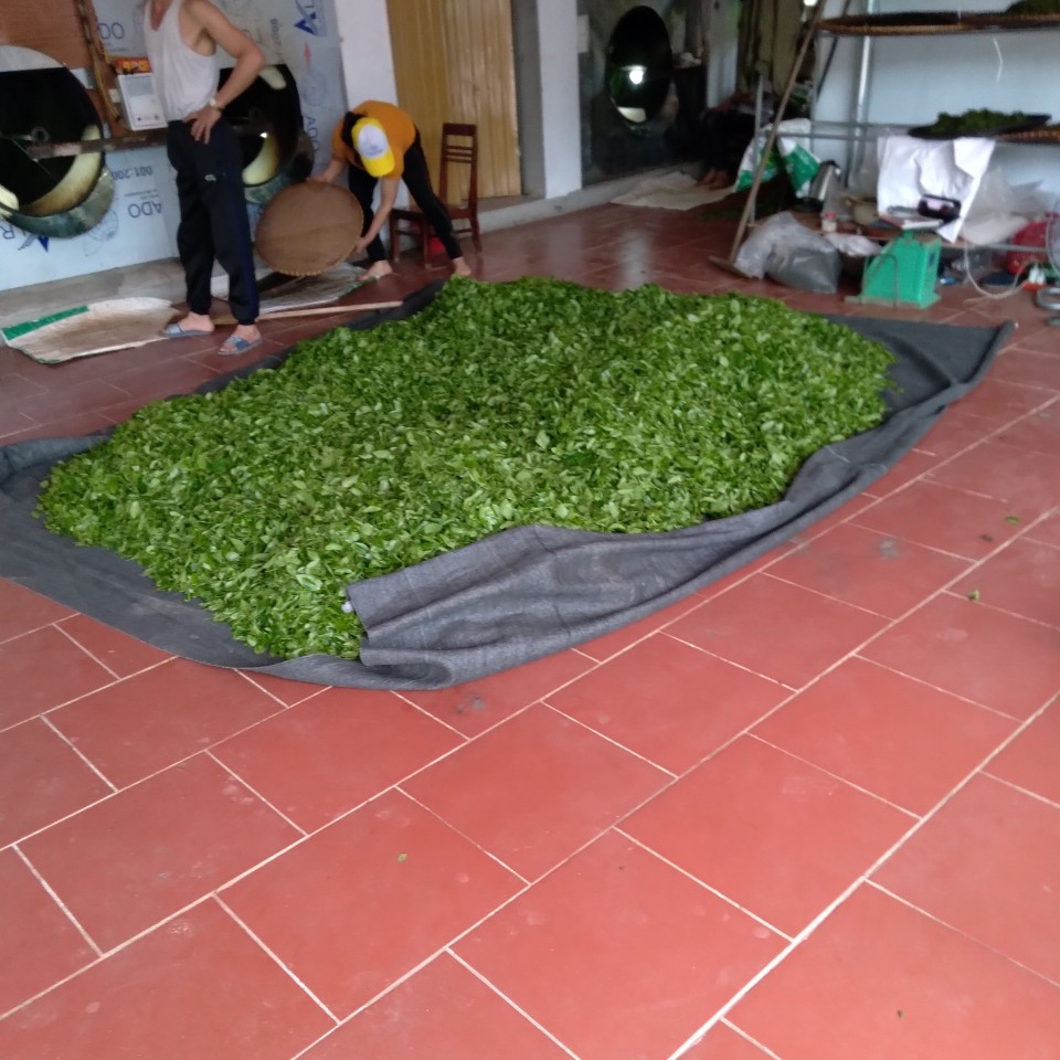 Chè đặc sản Thái Nguyên( Sản phẩm gồm 01 gói 500g)