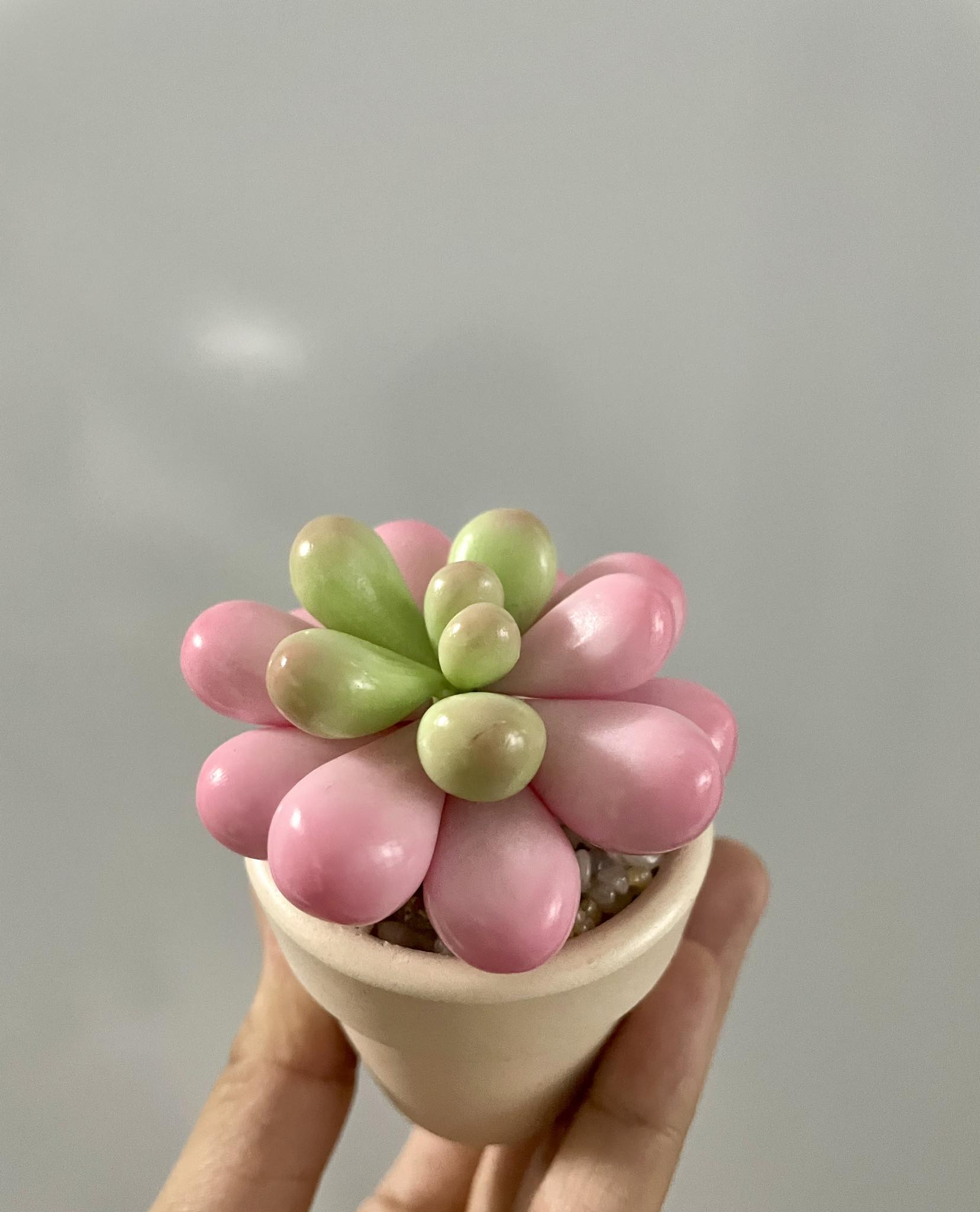 Chậu sen đá mini làm bằng đất sét đường kính 5cm