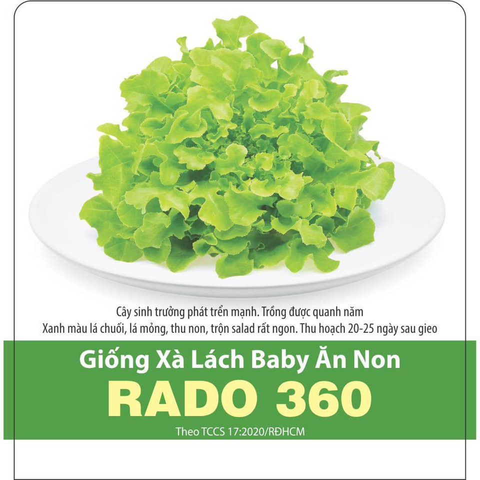 Hạt Giống Xà Lách Baby Ăn Non (10G ~ 600 hạt) Rất Nhanh Thu Hoạch, Dễ Trồng