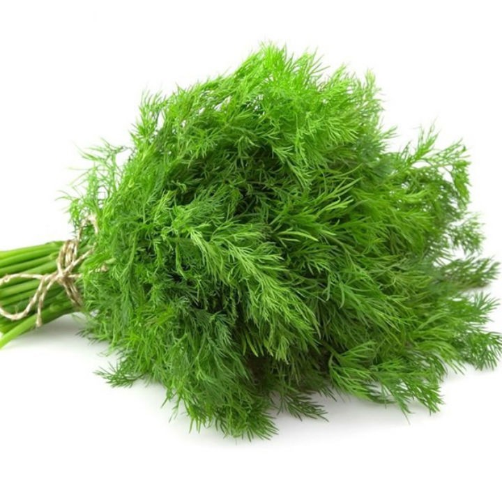 Hạt Rau Thì Là - Gói 5 Gram