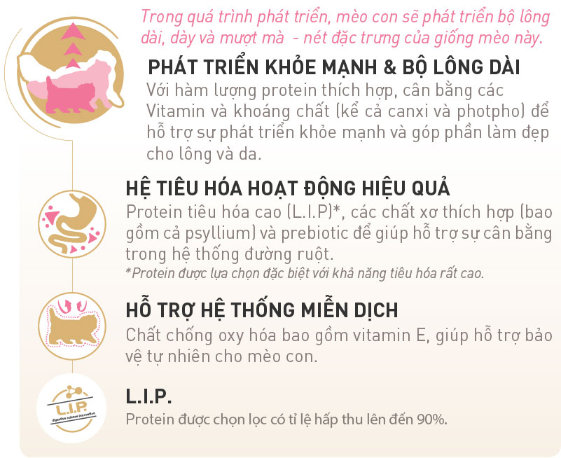 Hạt Cho Mèo Con Ba Tư Royal Canin Persian Kitten