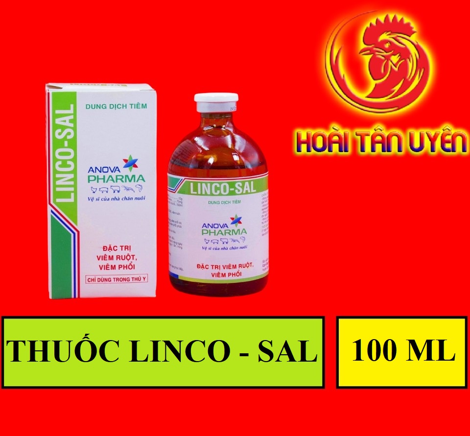 LINCO - SAL khò khè, sỗ mũi dành cho gà đá CHAI 100ML