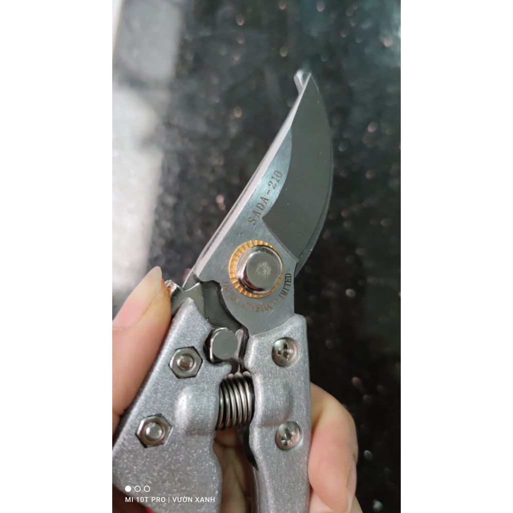 Kéo cắt cành cây SADA Nhật Bản