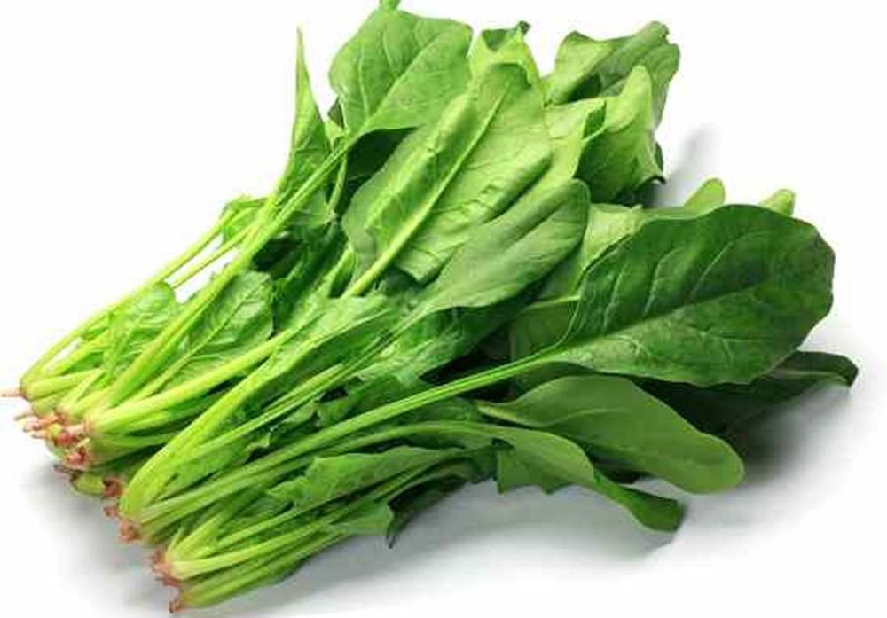 Hạt Giống Rau Chân Vịt (Cải Bó Xôi) - 20gr