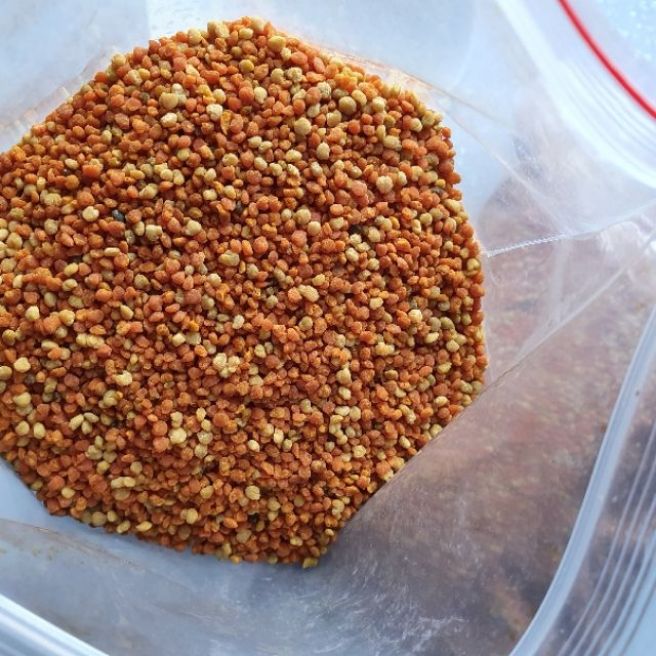 Sỉ toàn quốc 500g phấn hoa rừng