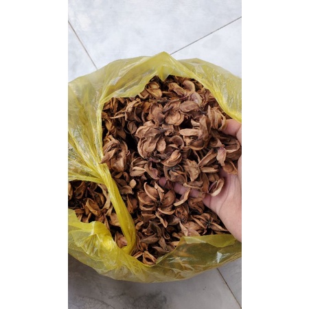 Hoa sứ khô trang trí handmade