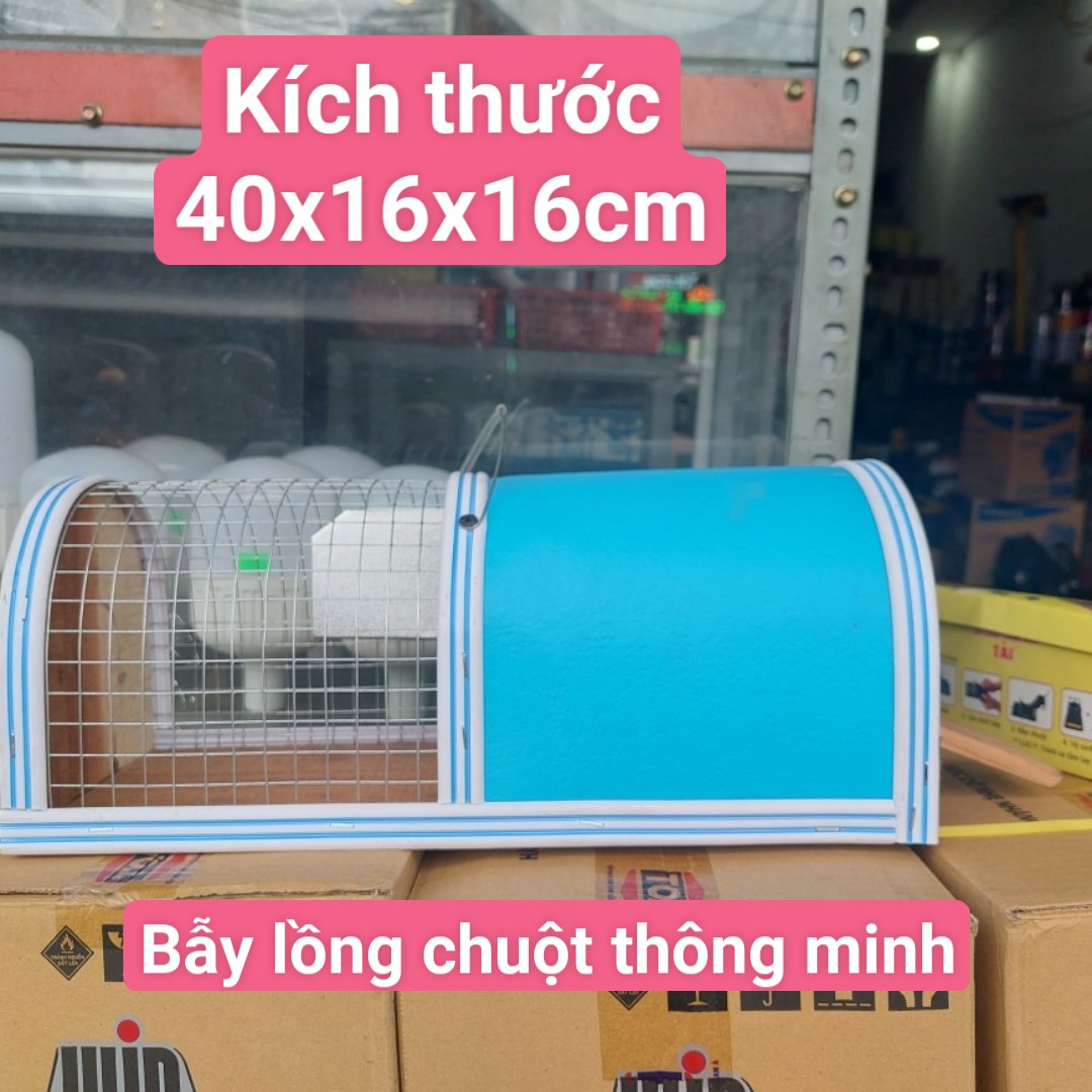 bẫy lồng chuột thông minh size trung, bẫy chuột bắt được nhiều con 1 lần và bẫy xập thông minh bắt được 1 con 1 lần, bắt được chuột ngay từ lần đầu sử dụng có thể tái sử dụng được nhiều lần, bay chuot thong minh