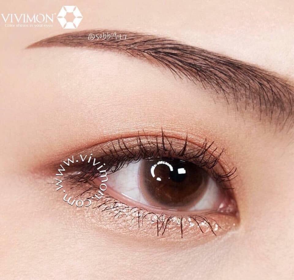 Lens - Kính áp tròng nâu tự nhiên giãn vừa sử dụng 1 năm (tặng kèm khay đựng)