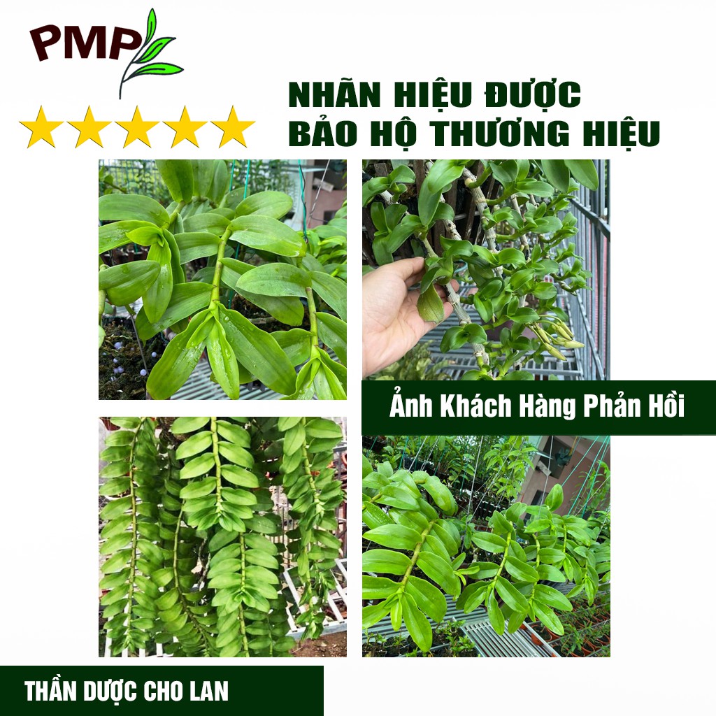 Phân tan chậm cho lan Probio PMP hữu cơ vi sinh 1kg