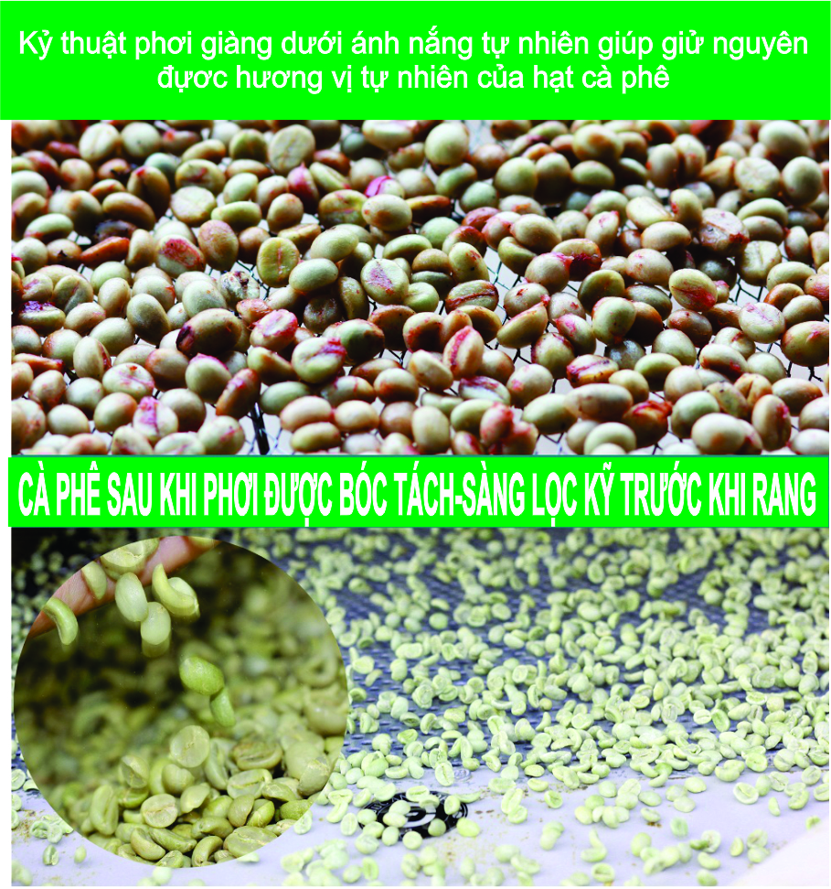 500gr Cà Phê Hạt Arabica Đà Lạt Rang Mộc Dạng Hạt Pha Máy -LOHA COFFEE