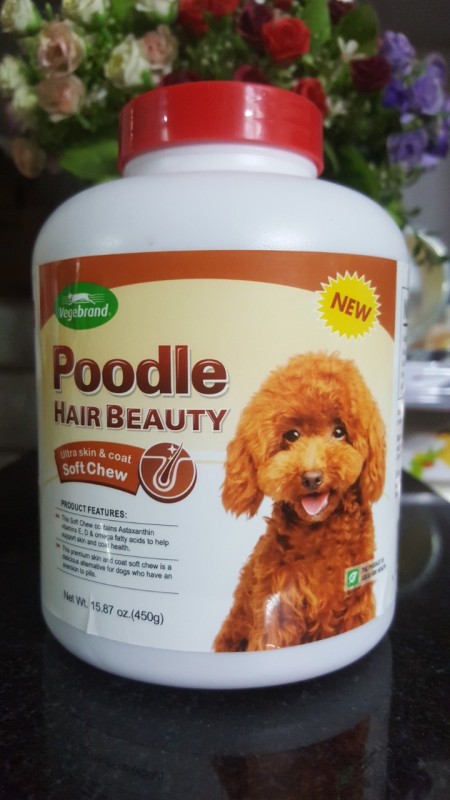POODLE HAIR BEAUTY chắm Sóc Lông cho Chó Poodle