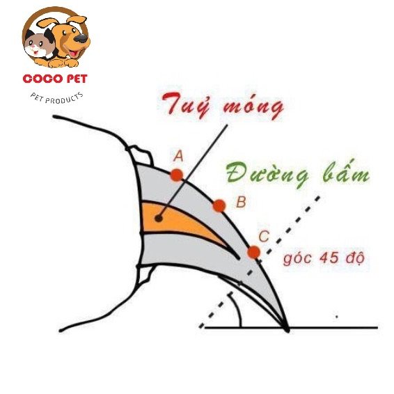 Kìm/Kéo Bấm Móng Mini Cho Chó Mèo Thú Cưng