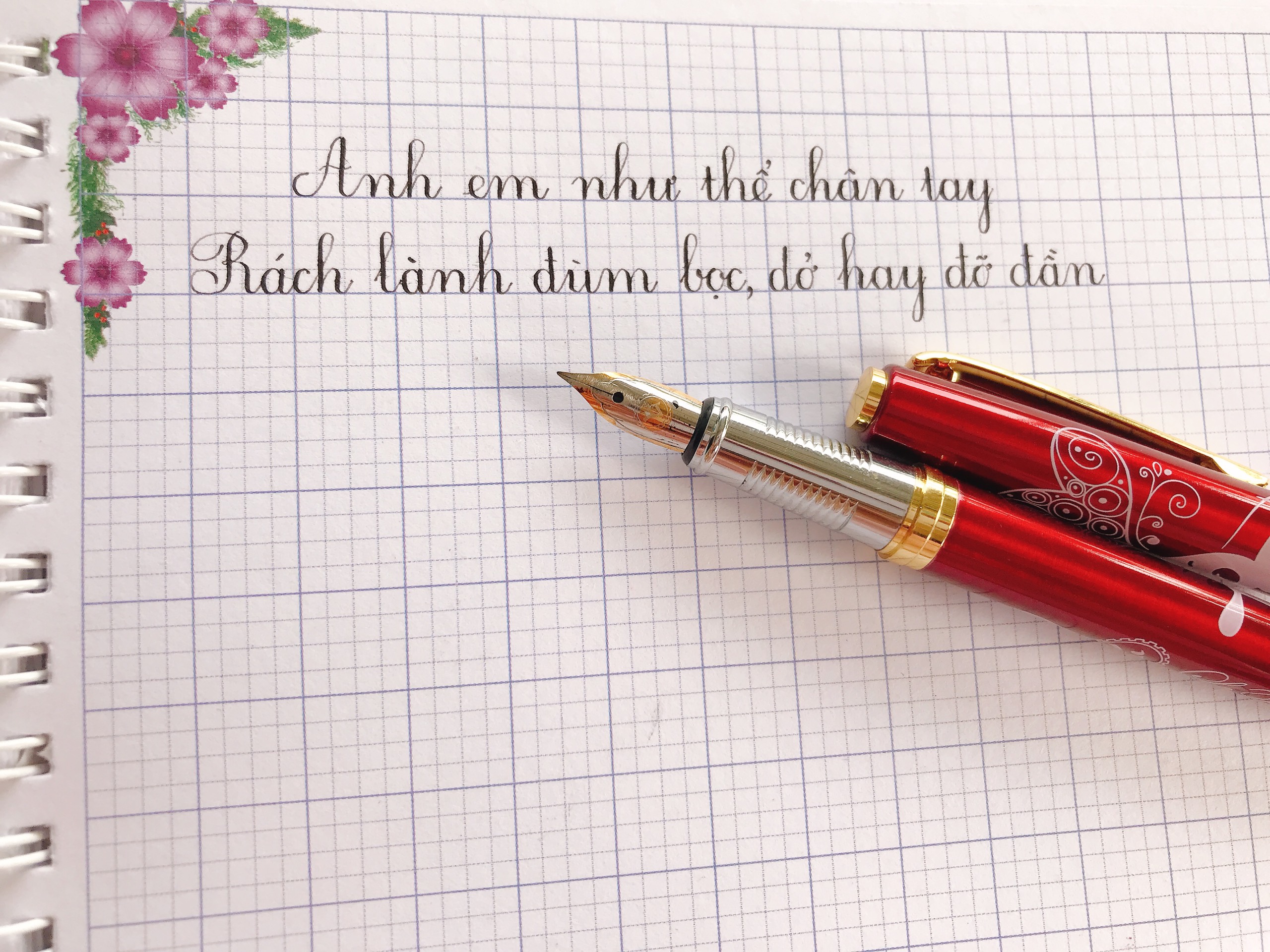 🍂 Bút máy LeTa 033 ngòi mài thanh đậm