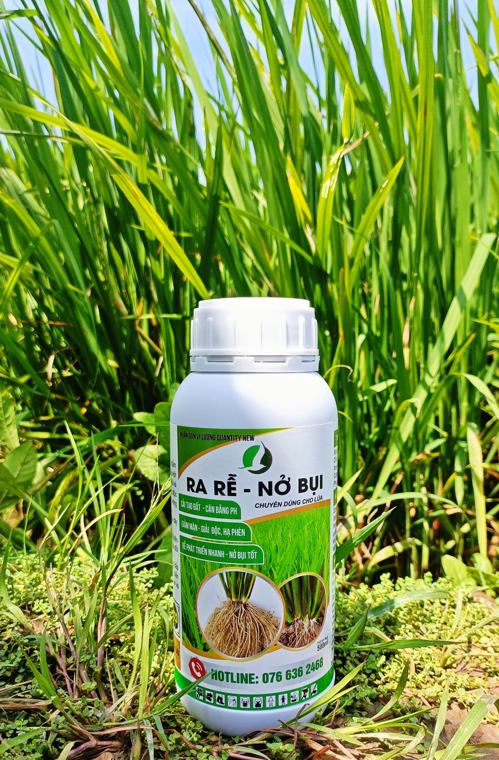 RA RỄ NỞ BỤI 500ML