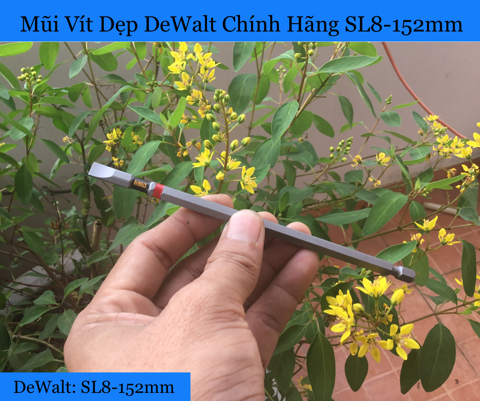 [HCM]Mũi Vít Dẹp DeWalt Chính Hãng Có Từ SL8-152mm