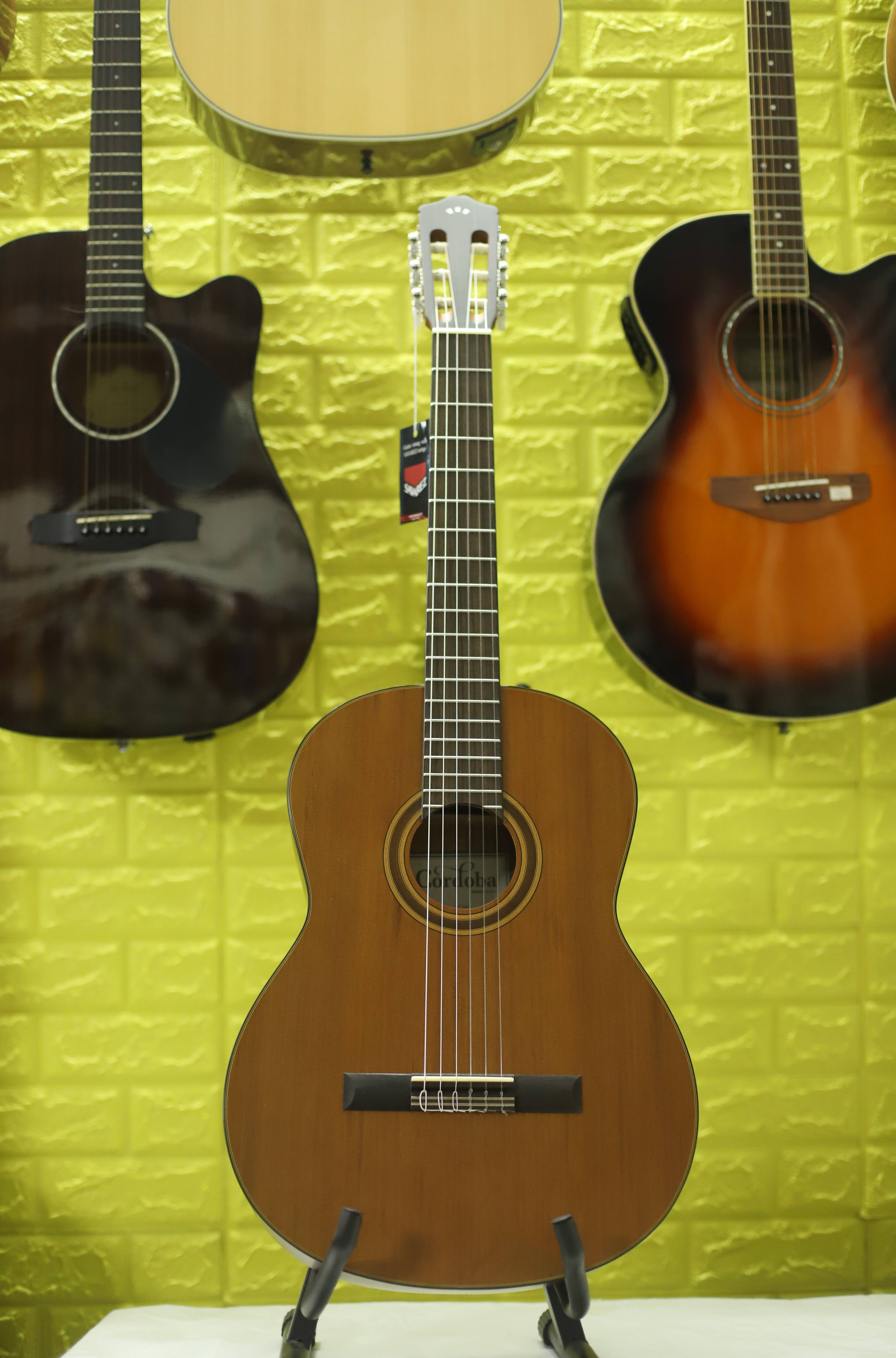 Đàn Guitar Classic Cordoba C3M ( tặng bao + 3 phím + capo )