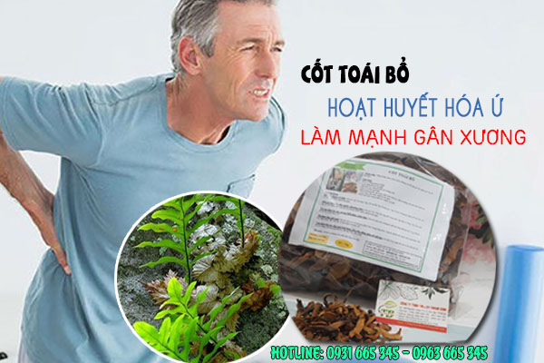 Cốt toái bổ khô 1kg - dược liệu thanh bình
