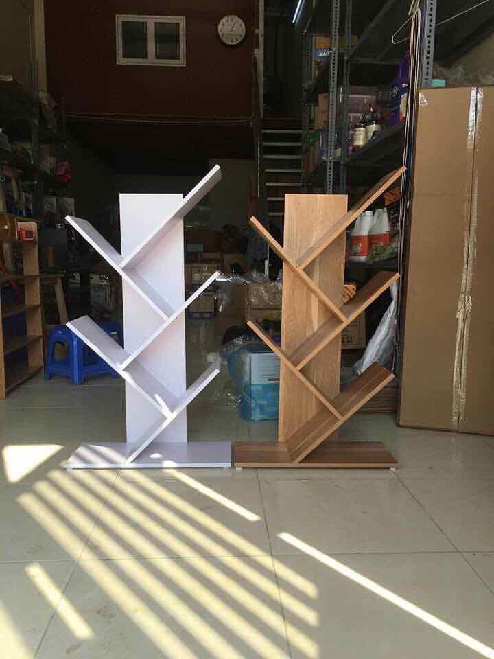 Kệ để sách xương cá