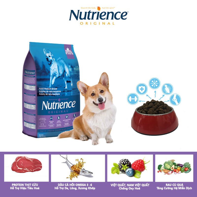 Thức Ăn Cho Chó Corgi Nutrience Original Phát Triển Cơ Bắp, Xương Sụn Cơ Khớp, Hệ Miễn Dịch, Hệ Tiêu Hóa Khỏe Mạnh, Da Lông Bóng Mượt - Thịt Cừu, Rau Củ Và Trái Cây Tự Nhiên