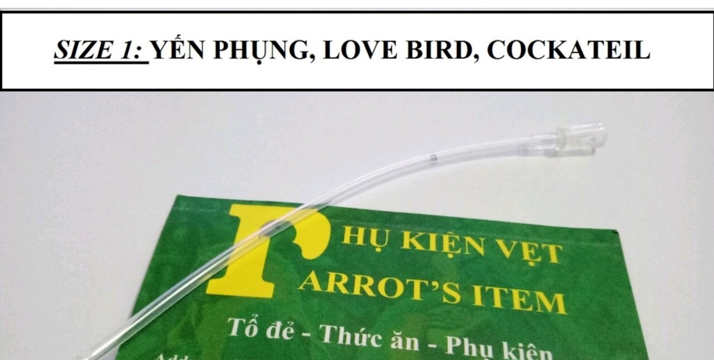 [HCM]ỐNG ĐÚT CHO VẸT NON