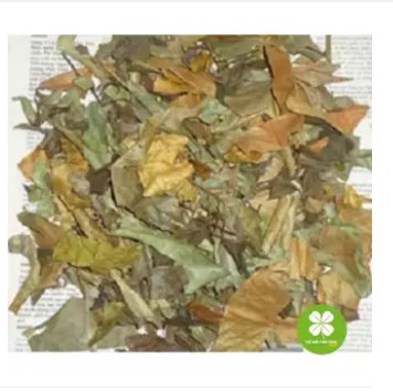 Đơn lá đỏ (1kg khô) - DTX150