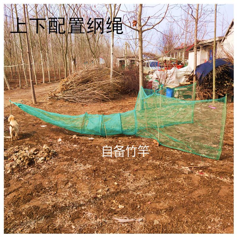 Đăng chặn sông, cống - bắt bắt tôm, cua, lươn, cá hiệu quả