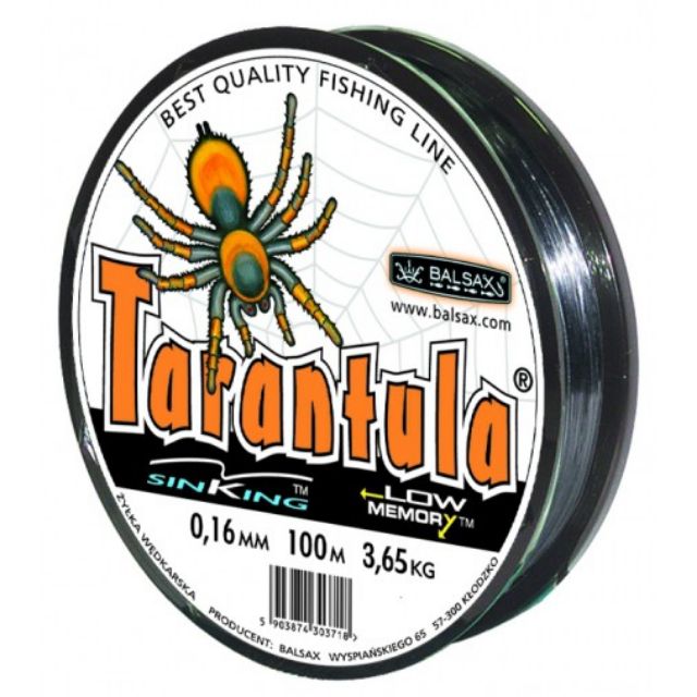 CƯỚC TARANTULA CON NHỆN