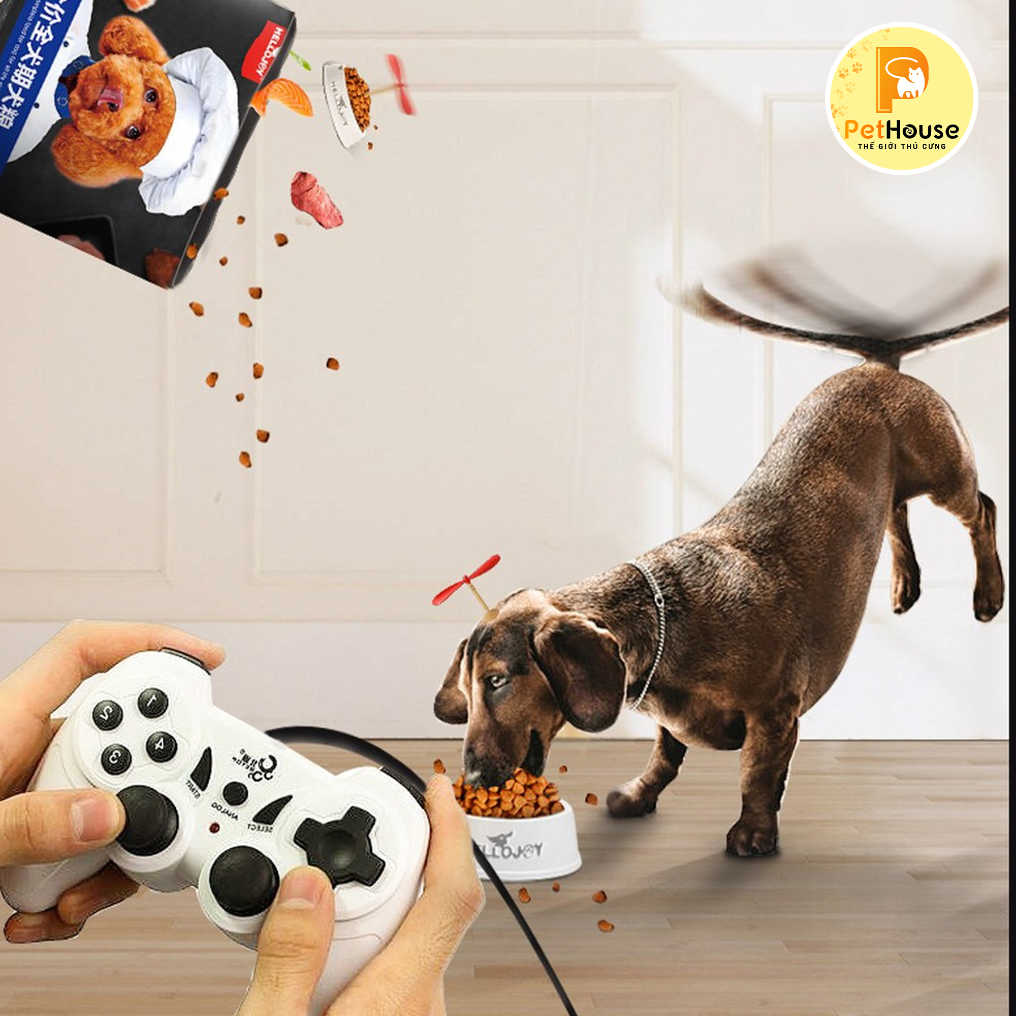 [HCM]Hạt đồ ăn cho chó Hello Joy đặc biệt dành cho chó kén ăn (Túi 2.5Kg)