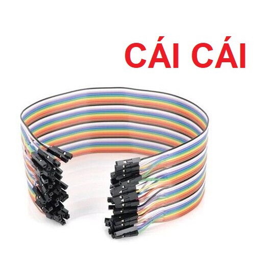 Bộ 40 dây test board 20cm