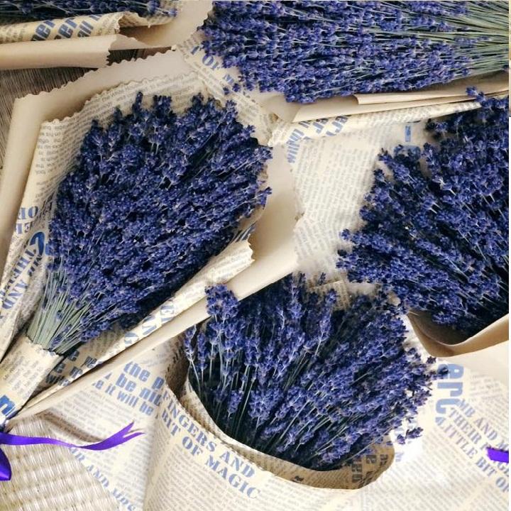 Hoa khô Lavender Pháp (hoa oải hương)
