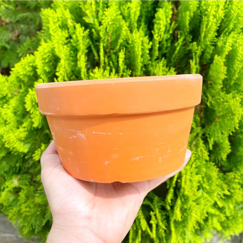 Chậu đất nung 17x9cm - Vườn sen đá