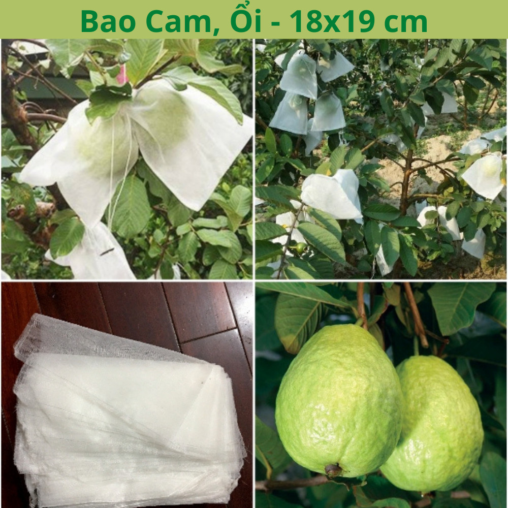 SET 10 Túi bọc trái cây có dây rút bằng vải không dệt chuyên dùng bọc cam, ổi, mít, mướp, bầu, mướp đắng, bưởi...