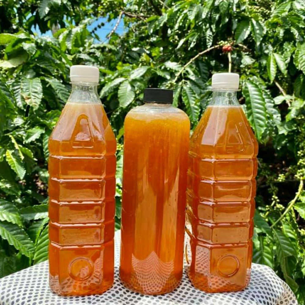 Mật ong hoa cà phê nguyên chất