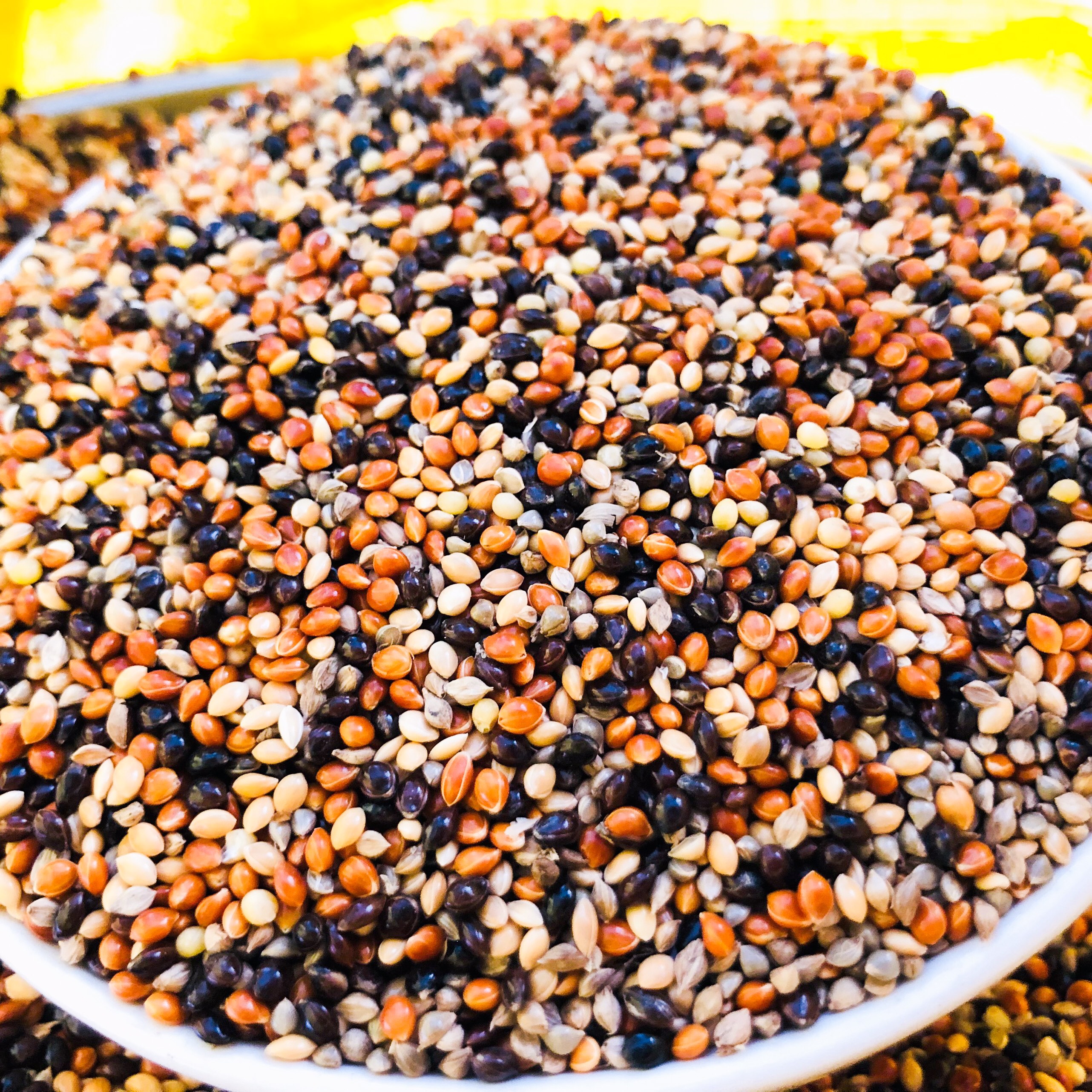 Cỏ thái chim cu gáy Javan 500gram