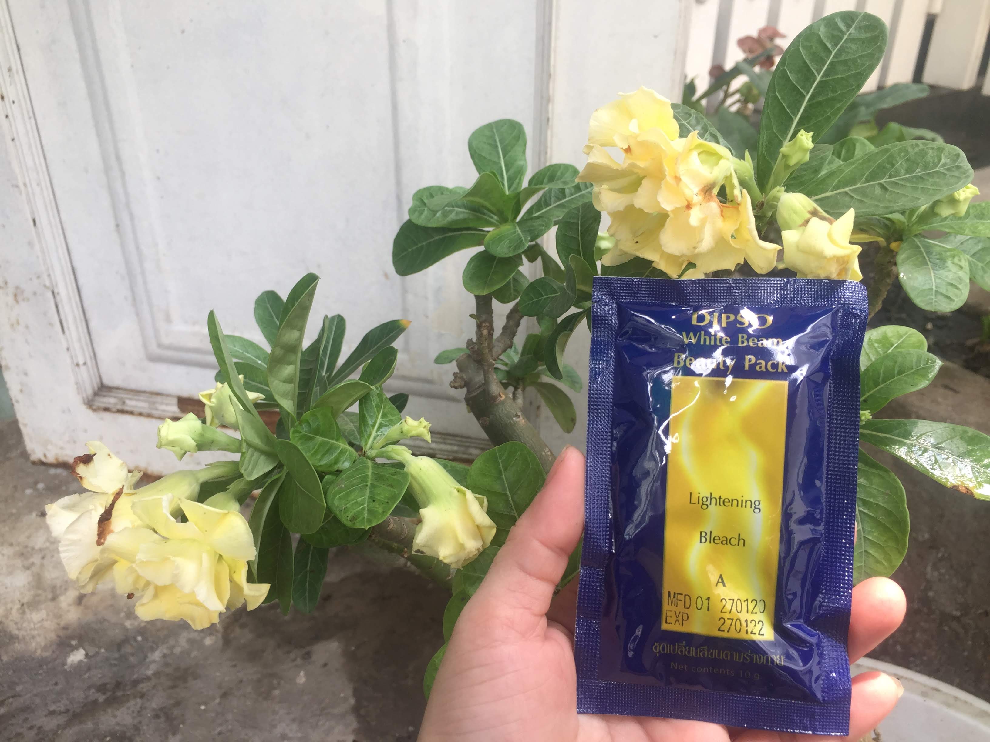 Sét tắm trắng da từ thiên nhiên DIPSO Thái Lan 90 ml