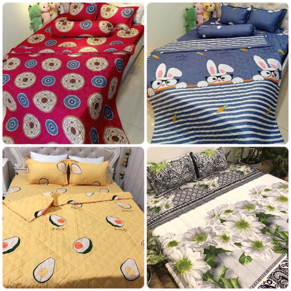 Chăn Hè Thu Trần Bông Hàn Quốc Cotton Poly Nhiều Màu Chọn Lựa