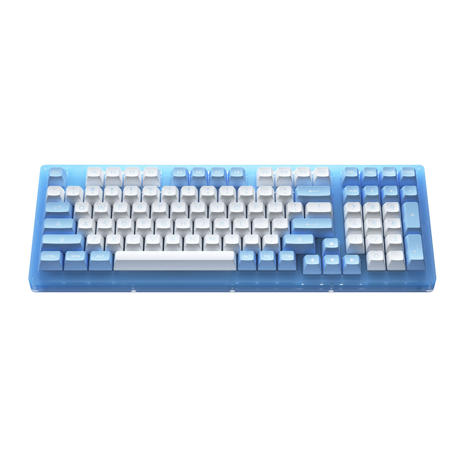Bàn phím cơ AKKO ACR98 Blue (Hotswap / RGB / AKKO CS sw Jelly Blue)