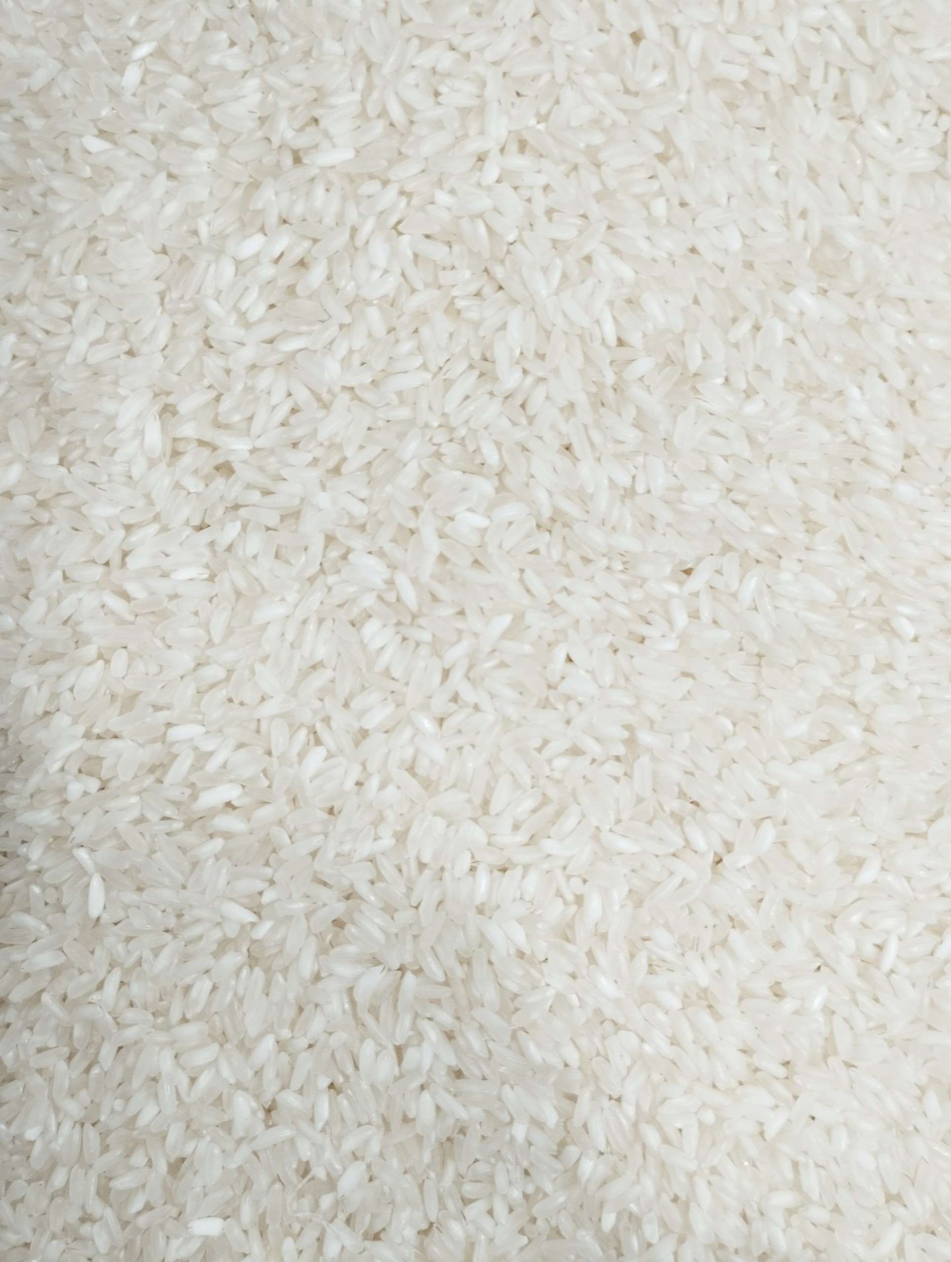 5KG Gạo Nở Mềm - Gạo Nở Xốp Mềm Cơm