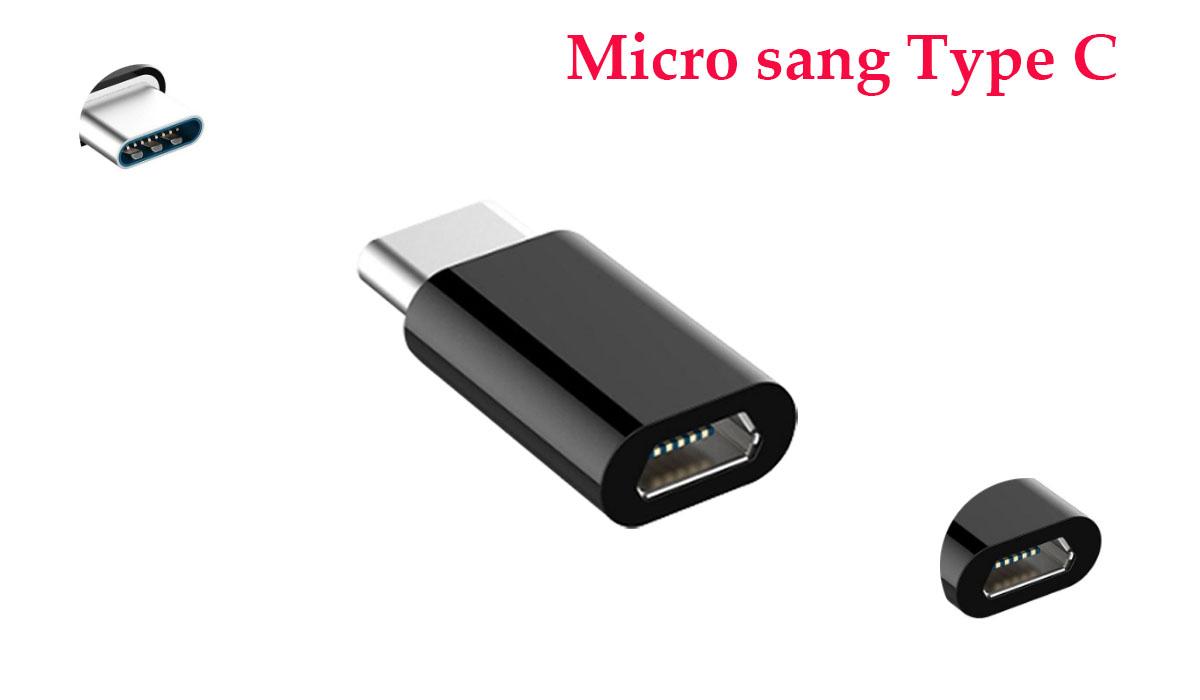Đầu chuyển đổi chân Micro USB (Cái) sang Type C