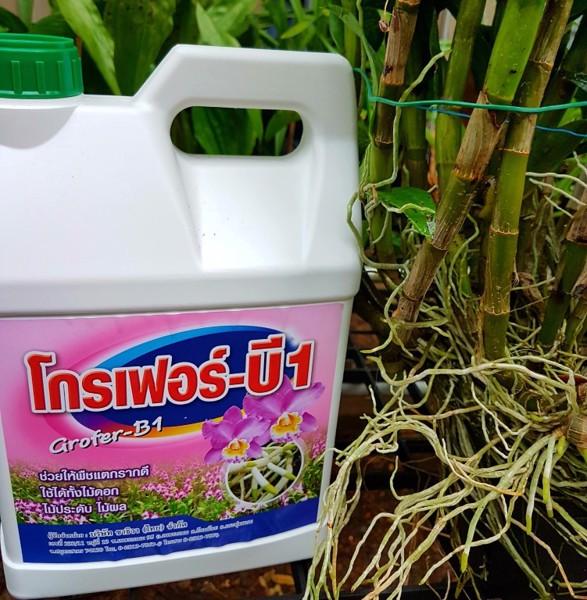 330 ml b1 thái nguyên chất