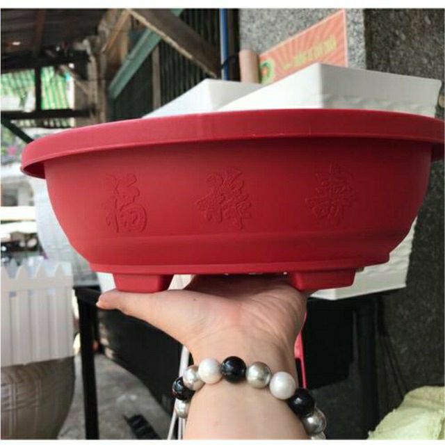 chậu nhựa bonsai oval đk 30cm